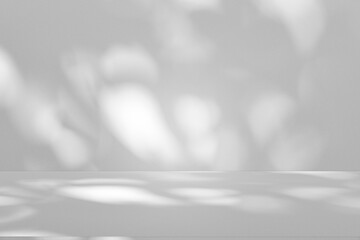 Wall interior background, studio and backdrops show products.with shadow from window color white and grey. background for text insertion and presentation product	