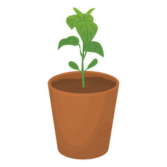 Pepper shoot in a pot. Seedlings for the garden. Farm plantings. Home gardening. Growing vegetables and garden plants. Vector illustration isolated on a transparent background.