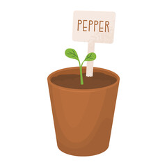 Pepper sprout in a pot with a sign. Seedlings for the garden. Farm plantings. Home gardening. Growing vegetables and garden plants. Vector illustration isolated on a transparent background.