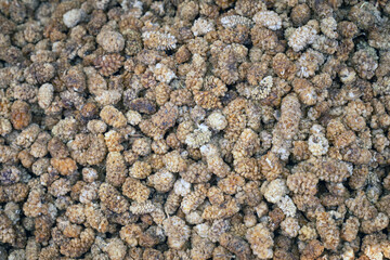 dry mulberry. dried medicinal fruits.