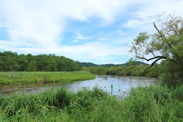釧路湿原を流れる釧路川