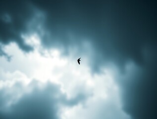 Bird Flying Against a Dramatic Cloudy Sky Symbolic of Freedom