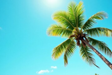 Leaning palm, vibrant green leaves against clear sky, high resolution, sun, summer