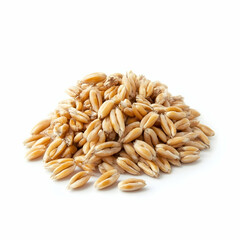 Wheat grains pile, isolated, white background, food ingredient