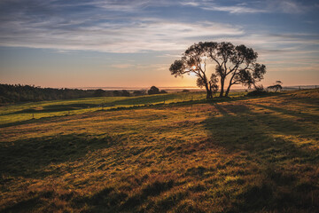 sunset over the field