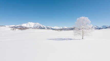 Lone snow-covered tree in winter landscape, mountains background; serene nature scene
