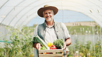 Obraz premium Mature man, basket and harvest in greenhouse, farming and smile with sustainability in summer. Person, happy and portrait with food production, agriculture and nursery for vegetables in Australia