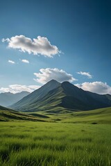 Fototapeta premium grassy field with mountains in the background and a blue sky