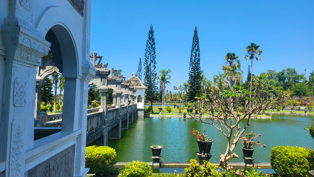 Beautiful garden with a pond and a bridge