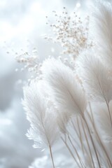 Light White Background, Generative AI