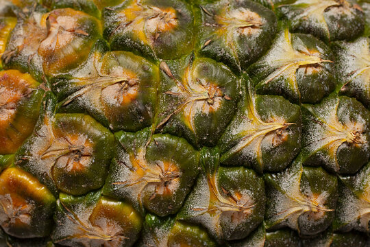 Close up macro photo of fresh pineapple pattern skin
