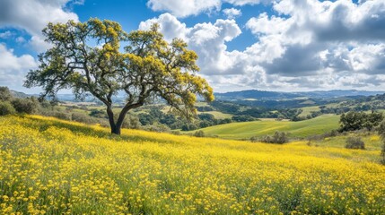 Fototapeta premium Lone oak in vibrant yellow wildflowers, sunny sky. Perfect for illustrating spring, nature, tranquility, or travel.