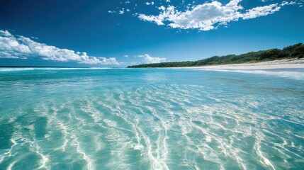 Tropical beach, clear water, sunny day, coastal trees. Travel brochure