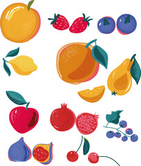 vector fruits on a white background. Vivid illustrations of flat fruits for summer