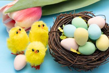 Colourful mini Easter eggs in a nest with little yellow toy chicks and a tulip. Close up. © Anthony Bower