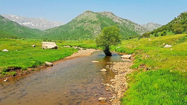 Serene stream and pond in the lush plains of Kani khiaran, nestled among Zagros forests and mountains.
📍Kani Khiaran, Dezli - Kurdistan 