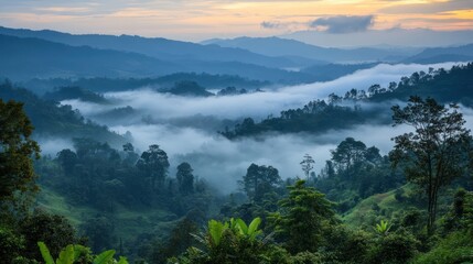Obraz premium Misty mountain sunrise over lush valley, travel poster