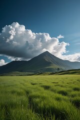 Fototapeta premium grassy field with a mountain in the background