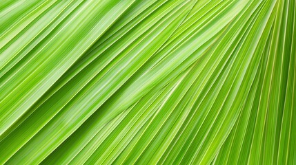 Fototapeta premium Vibrant Green Leaves at Different Angles Capturing Natural Beauty