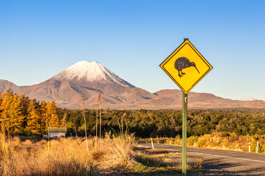 Kiwi sign on the road to mt Ngauruhoe, Tongariro, New Zealand