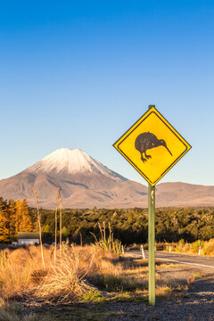 Kiwi sign on the road to mt Ngauruhoe, Tongariro, New Zealand
