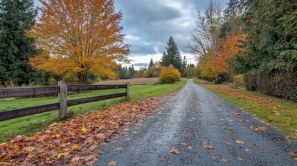 Obraz premium Autumn road, farm, trees, fall leaves, peaceful countryside