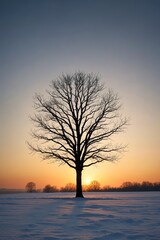 arafed tree in a snow field with a sunset in the background
