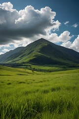 there is a large grassy field with a mountain in the background