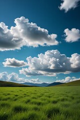 Obraz premium there is a field of grass with a sky background
