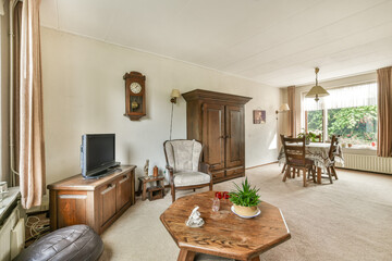 Cozy living room interior with vintage furniture