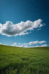 Obraz premium there is a field of grass with a blue sky in the background