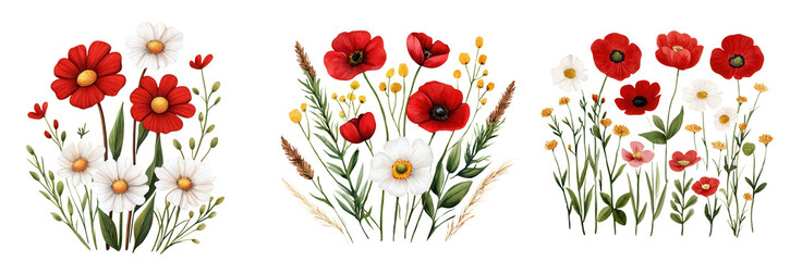 Fototapeta premium Bright summer wildflowers in red, white, and yellow, creating vibrant floral arrangement, isolated on transparent background.