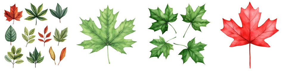 Vibrant watercolor leaves in various shapes and colors, perfect for seasonal designs, isolated on transparent background.