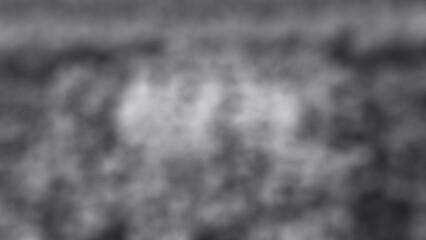 Abstract background Colorful flowers at the entrance of a housing estate in the heart of Chiang Mai. Gradient black and white light blur. Northern Thailand , Flowers, Garden, Nature, Plant, Yellow, Sp