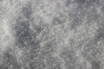 Winter's Delicate Lace