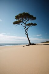 arafed tree on a beach with a blue sky in the background
