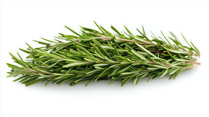 Fototapeta premium Fresh rosemary herbs on white background, perfect for culinary use and garnishing dishes. This aromatic herb adds flavor and fragrance to various recipes
