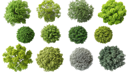 Overhead Garden Elements: A collection of varied, meticulously arranged overhead shots of vibrant trees and shrubs, perfect for landscape design, representing diverse foliage and natural forms. 