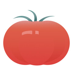 tomato illustration (digital art)