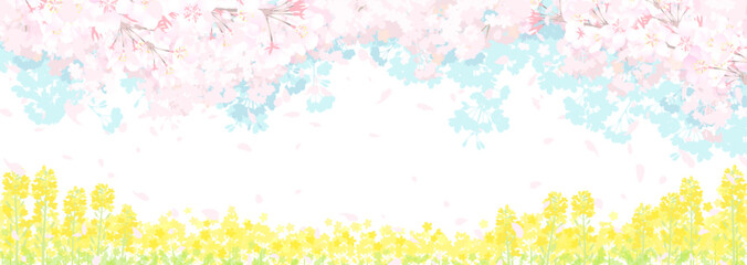 桜と春の空　菜の花畑