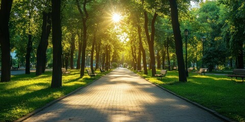 Obraz premium Serene Sunlit Park Path: A Tranquil Walkway through Lush Greenery