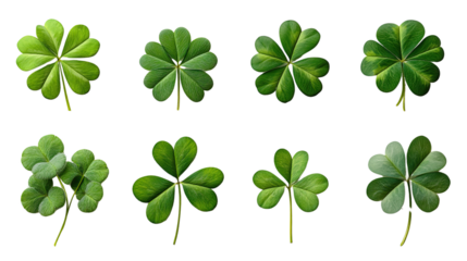 Four Leaf Clover Collection: A vibrant collection of eight four-leaf clovers, capturing the essence of luck and good fortune.