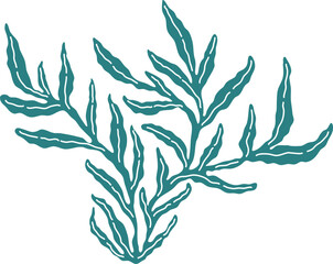 Artistic silhouette of seaweed. Hand drawn vector underwater plant printing for your business. Decorative art with algae isolated on white background. Seaweed vector logo. Ocean aesthetic wall art