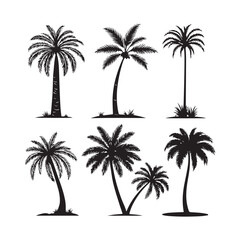 Naklejka premium Collection of Black and White Palm Tree Silhouettes vector illustration 