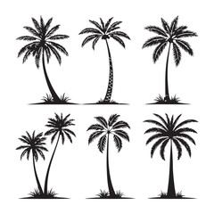 Fototapeta premium Collection of Black and White Palm Tree Silhouettes vector illustration 