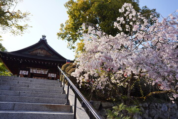 京都府京都市に鎮座する神社仏閣と庭園