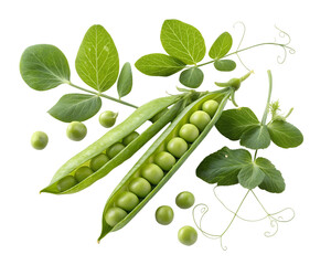 Green peas isolated on white background png
