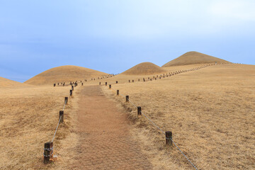 경남 고성군 송학동 고분군