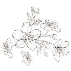 beautiful floral design for coloring book
