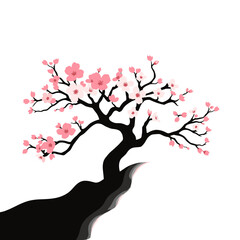 Blooming cherry blossom tree branch with soft pink flowers.